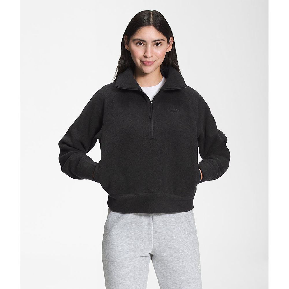 The North Face Fleece Jacket Womens Australia - The North Face City Standard Micro- ¼ Zip Black (IOB